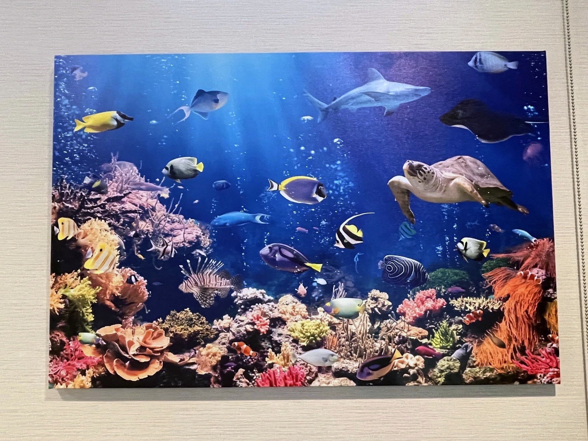 待合室写真4